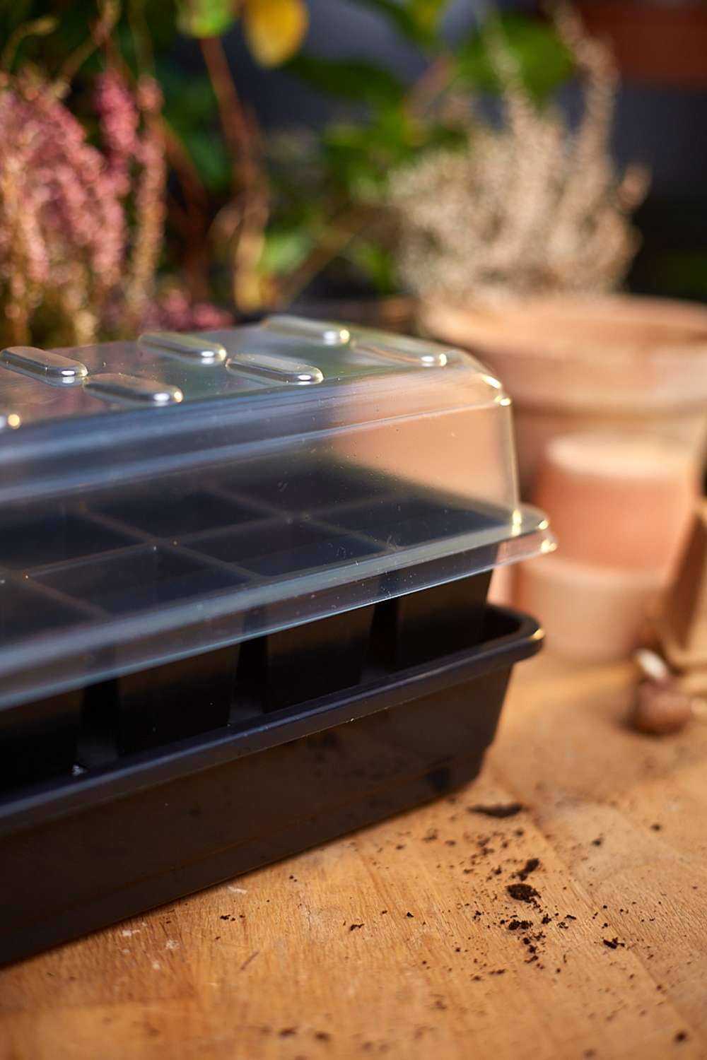 Miniväxthus med vattenreservoar